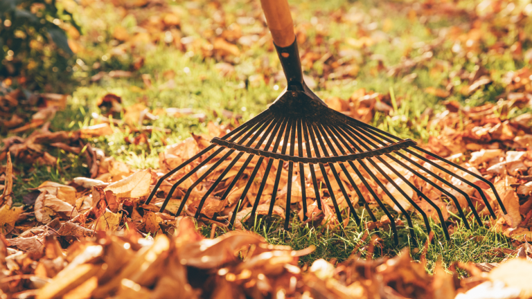 tips for not hurting your lower back while raking leaves in fairfax, va